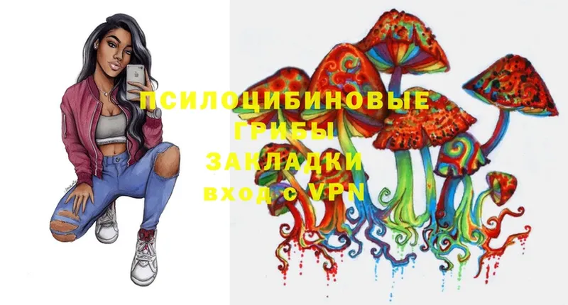 Галлюциногенные грибы MAGIC MUSHROOMS  Киселёвск 