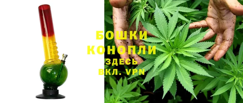 OMG онион  Киселёвск  Бошки марихуана White Widow 